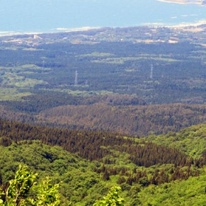 山形 庄内行くなら 道の駅 鳥海ふらっと にふら っと寄ってみで キャンピングカー 車中泊情報 Drimo ドリモ