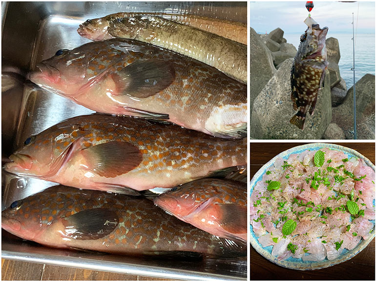 車中泊中に釣った魚