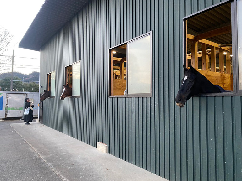 RVパーク Horse Value