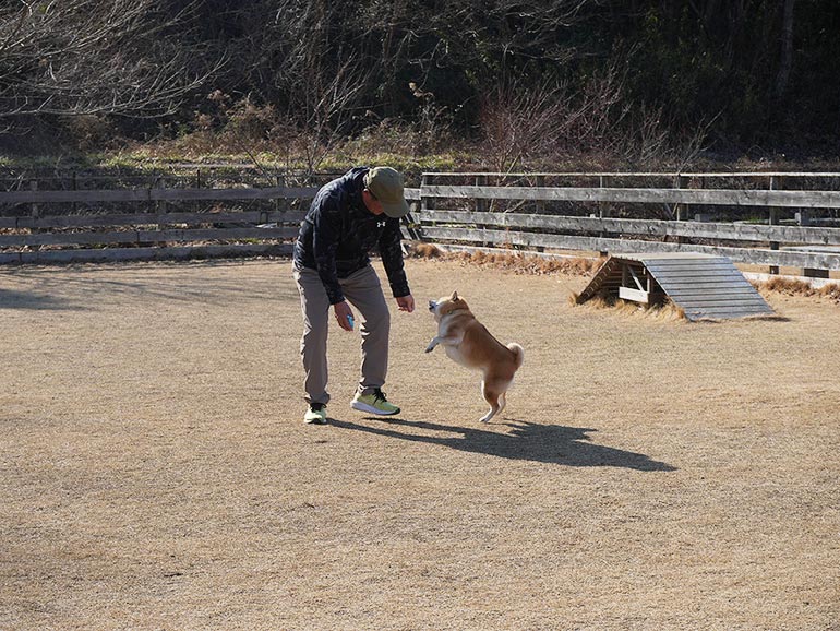 RVパーク ワンダーファーム