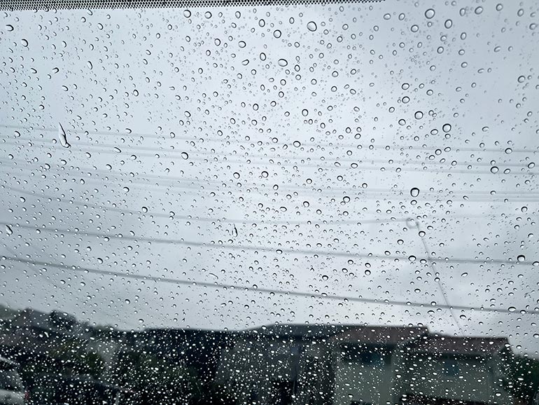 雨