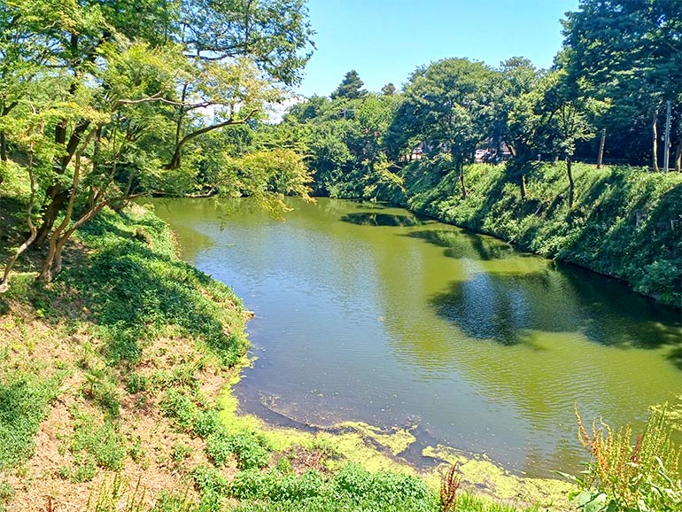 高岡古城公園内