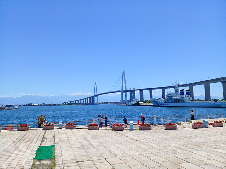 新湊大橋の全貌