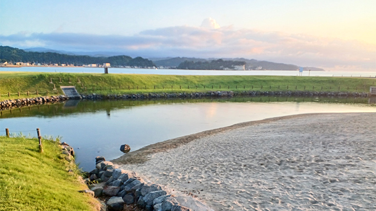 2度目の夏に実践している虫対策