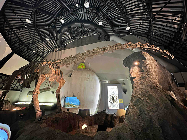 白山恐竜パークの館内
