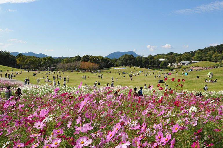 アウトドアパークの様子