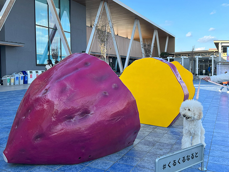 道の駅くるくるなると