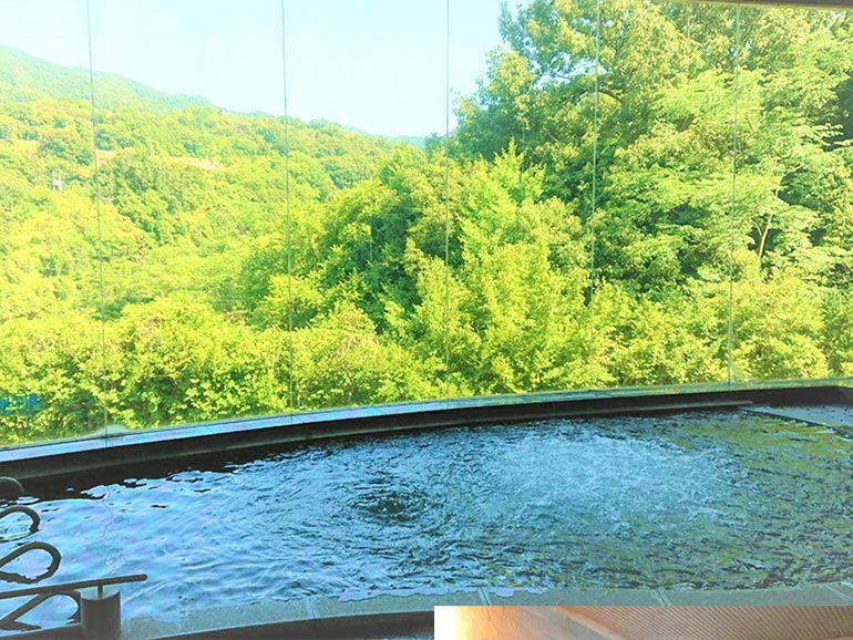 道の駅 たからだの里さいたの温泉