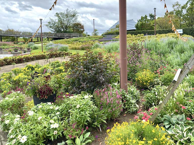 グリーンハウスのガーデン