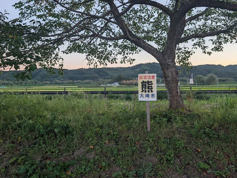クマの注意看板