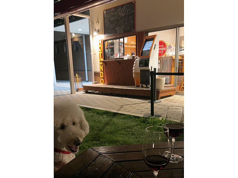 ブラッチェリーア・ロトンドで食事