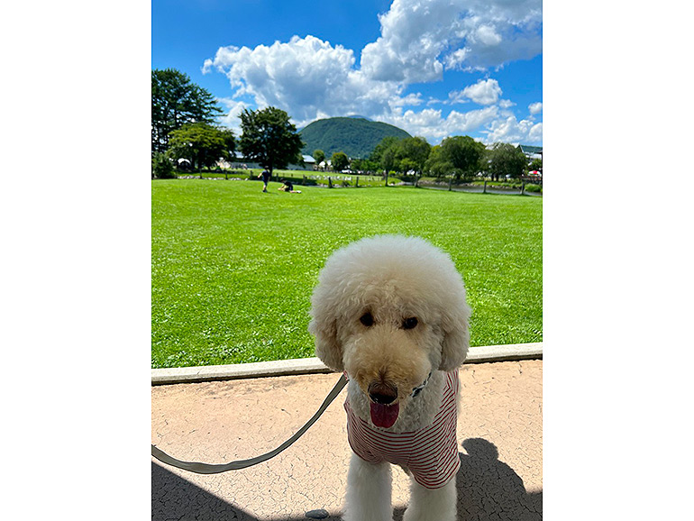 軽井沢アウトレットの敷地内