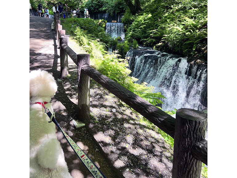 軽井沢の白糸の滝