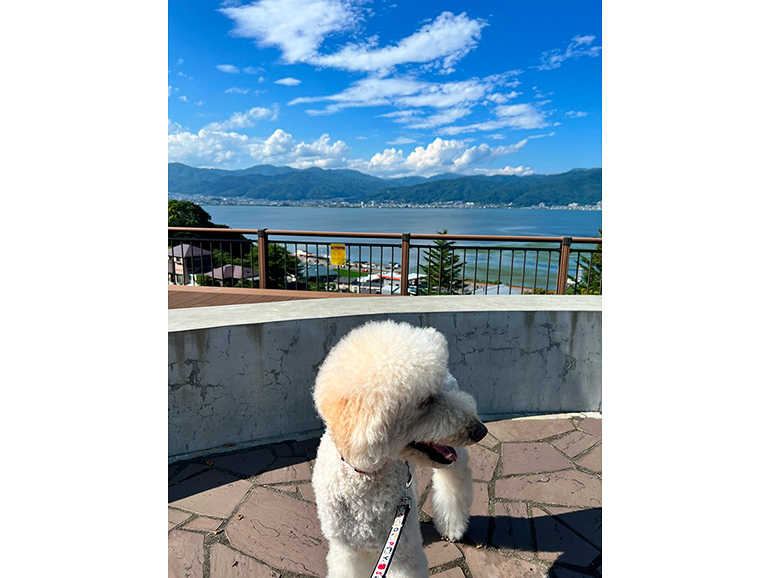 諏訪湖SAからの景色