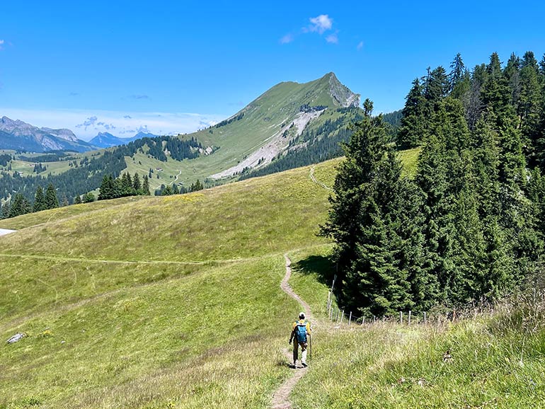 ハイキング中の景色