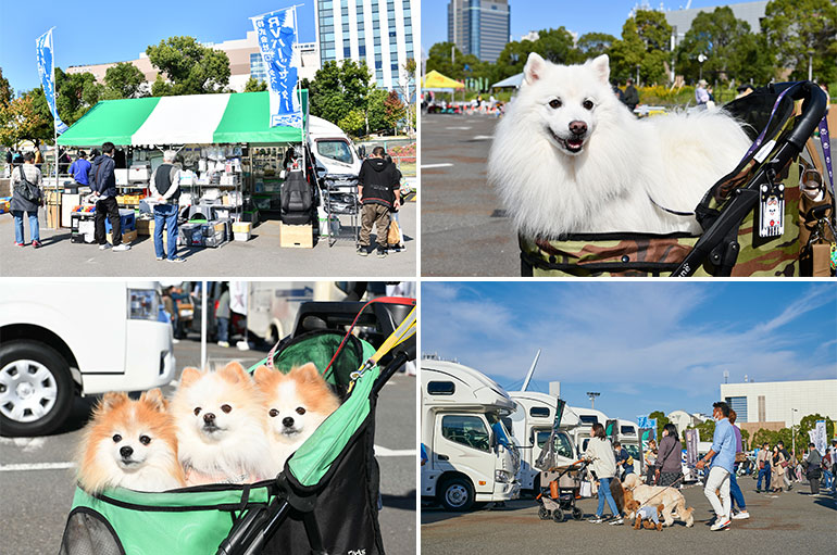 過去のお台場キャンピングカーフェア
