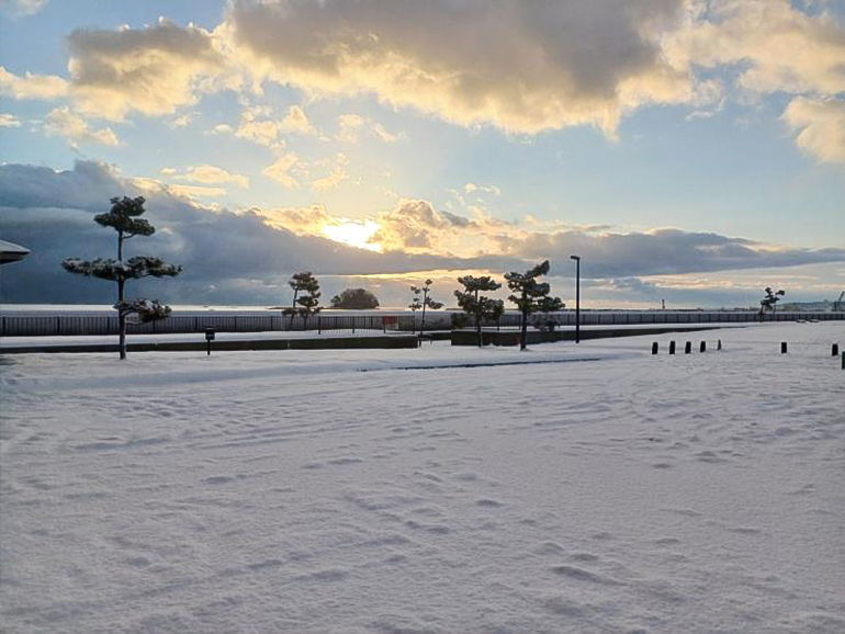 比美乃江公園の風景
