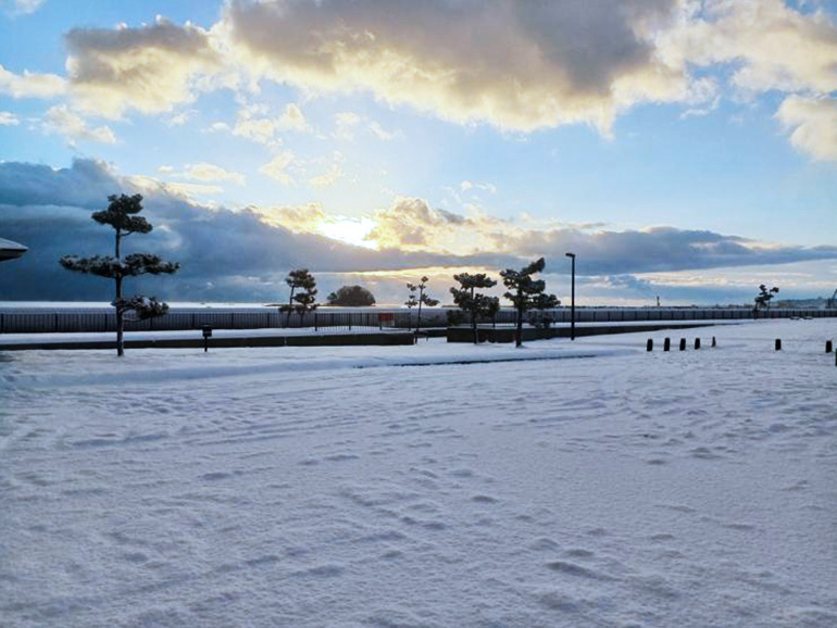 雪が積もった駐車場の様子