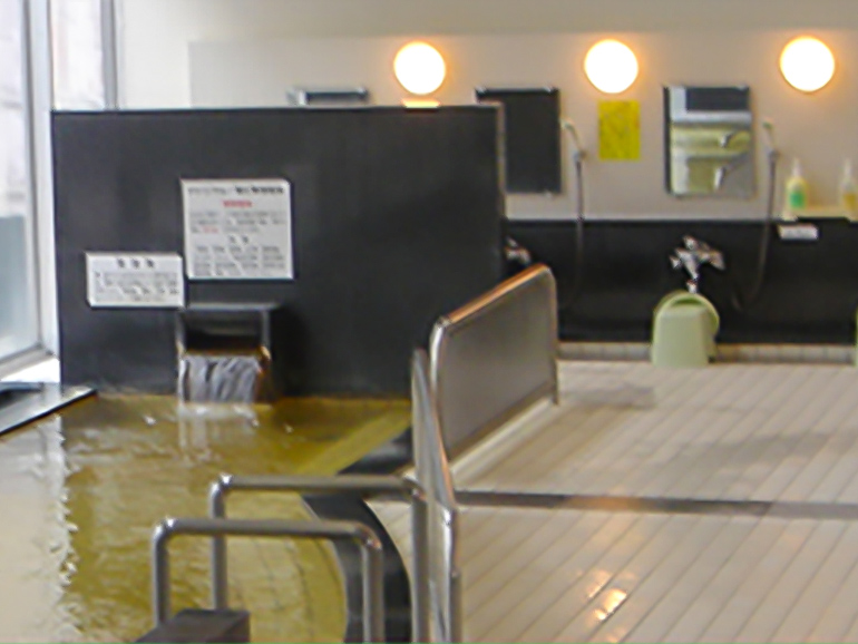 道の駅 むかわ四季の館の温泉