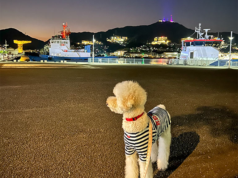 出島ワーフの様子