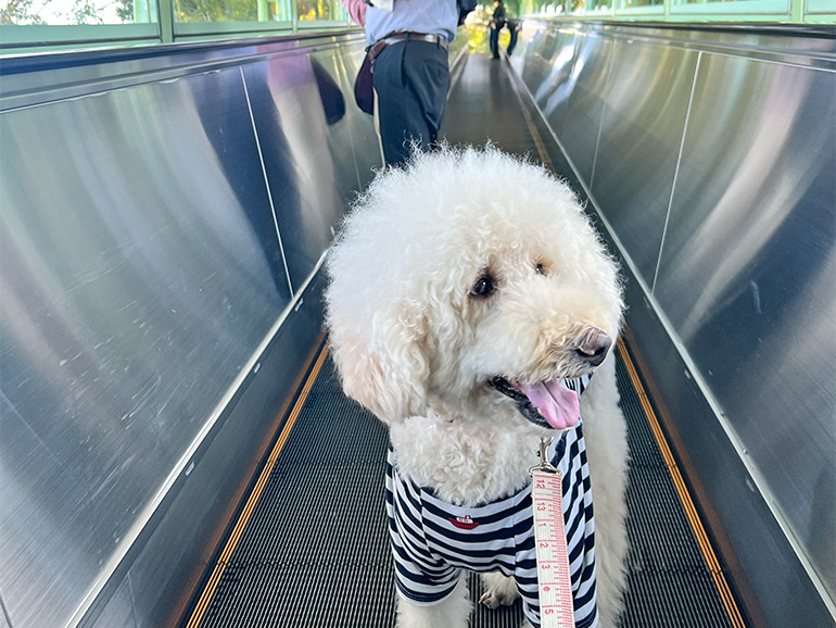 グラバー園スロープ