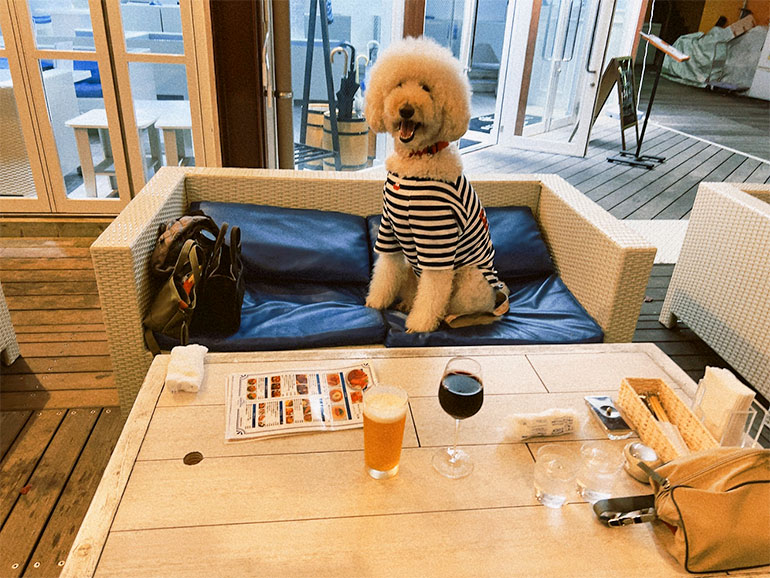 サンセットリーニ DEJIMAのテラス