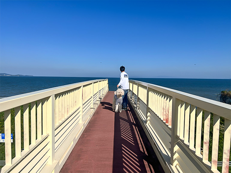 諫早湾雲仙多良シーラインの景色