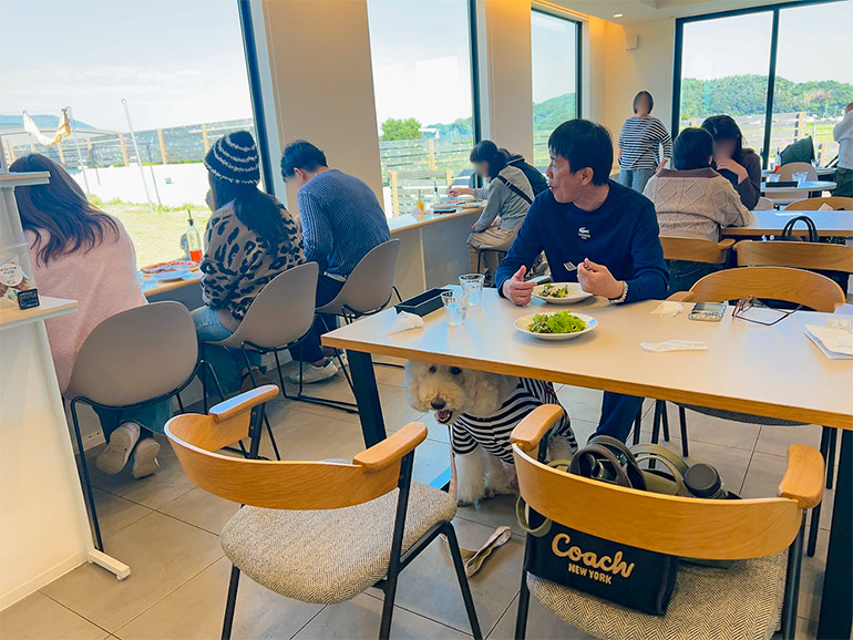 with DOG COFFEE店内