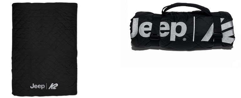 成約プレゼント：ブランケット