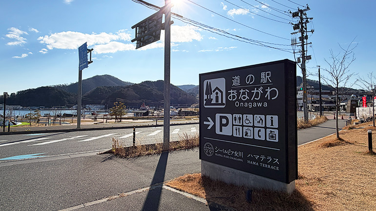 女川港・牡鹿半島で釣り体験