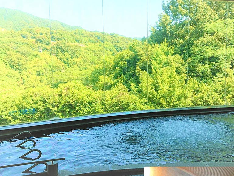 道の駅たからだの里さいたの温泉