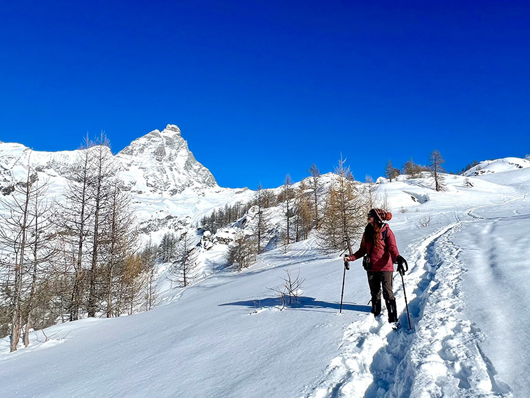 チェルビニアの景色