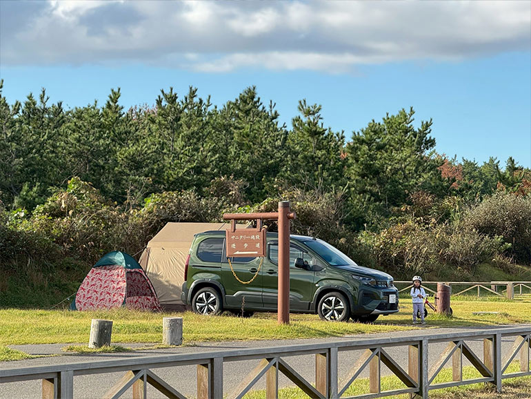 キャンプサイトの風景