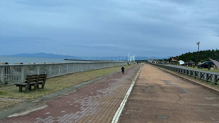 家族で楽しむ紫雲寺記念公園オートキャンプ場車中泊