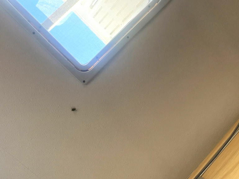 キャンピングカーに入る虫