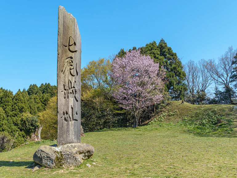 桜のきれいな城跡と車中泊スポット5選