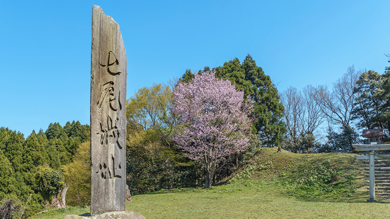 桜のきれいな城跡と車中泊スポット5選