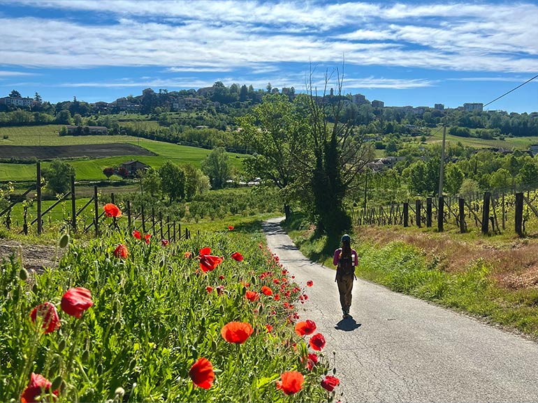 春のヨーロッパの景色