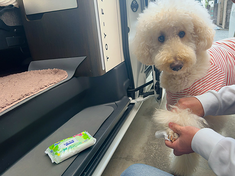 ウェットティッシュは愛犬のケア