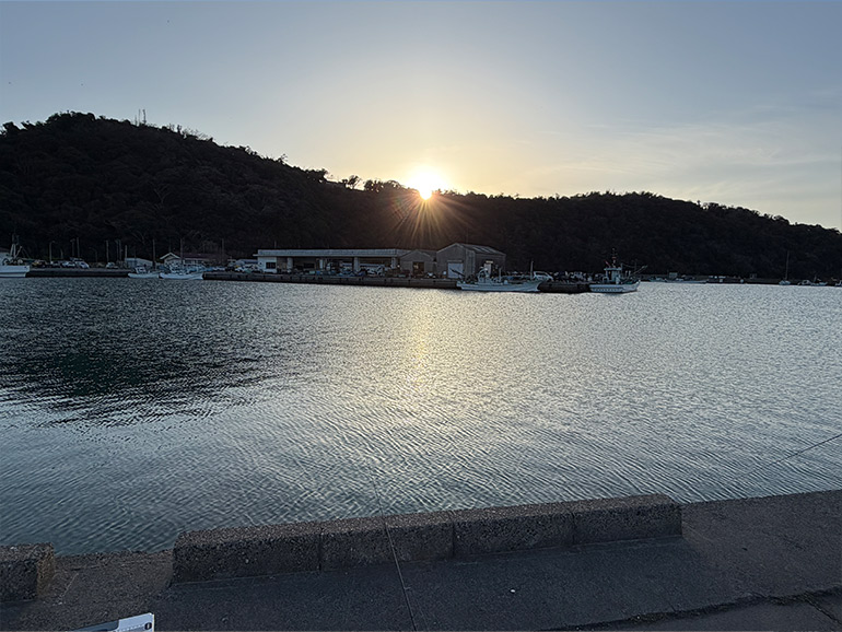 釣り堀りの夜明け