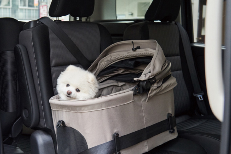 エアバギー ウィズエックス