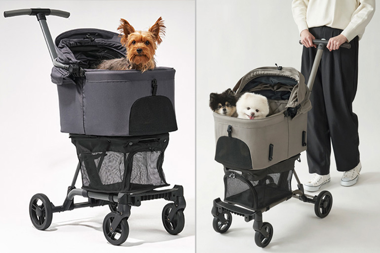 エアバギー ウィズエックス