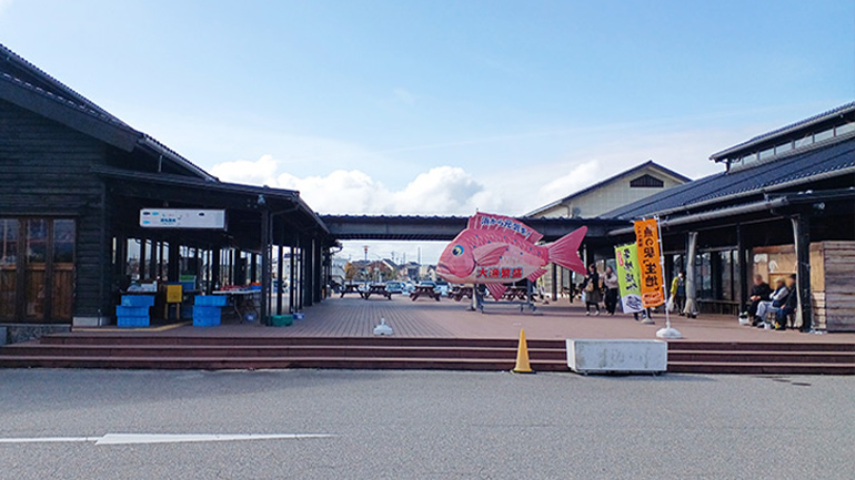 タルイカが楽しめる道の駅○選」