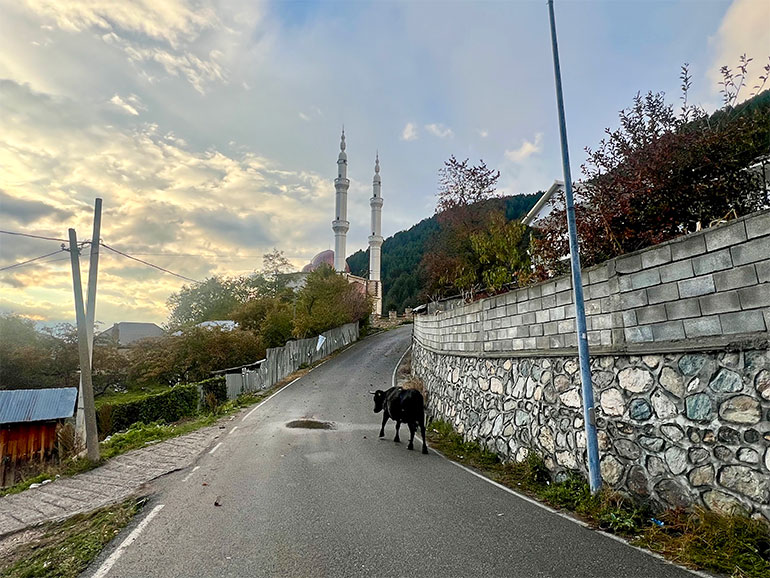 コラブ山までの道