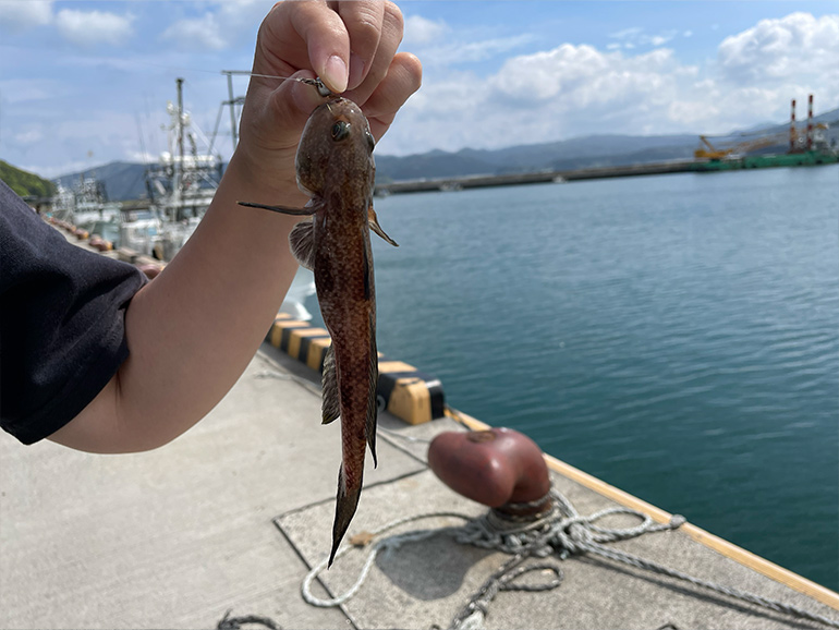 道の駅さんさん南三陸の近くの漁港