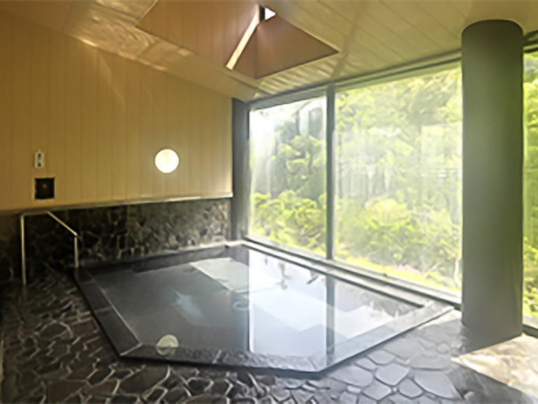 飛騨まんが王国の温泉