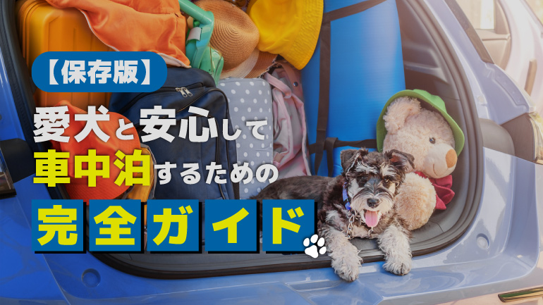 【保存版】犬と車中泊するなら必読｜失敗しないための完全ガイド