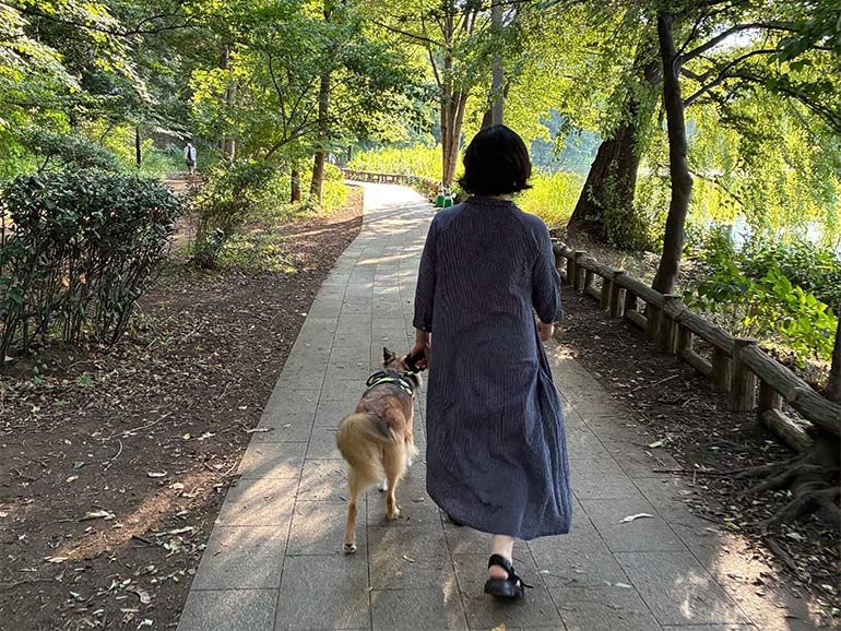 犬と散歩