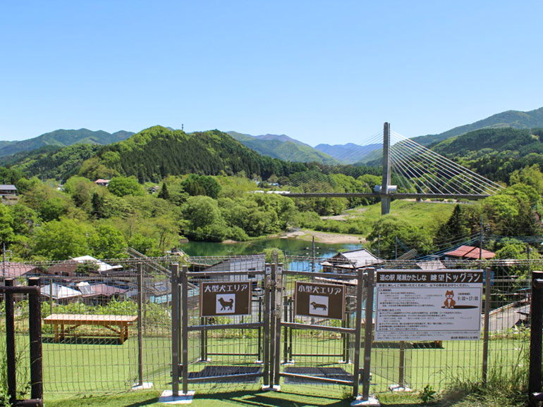 道の駅 尾瀬かたしなのドッグラン