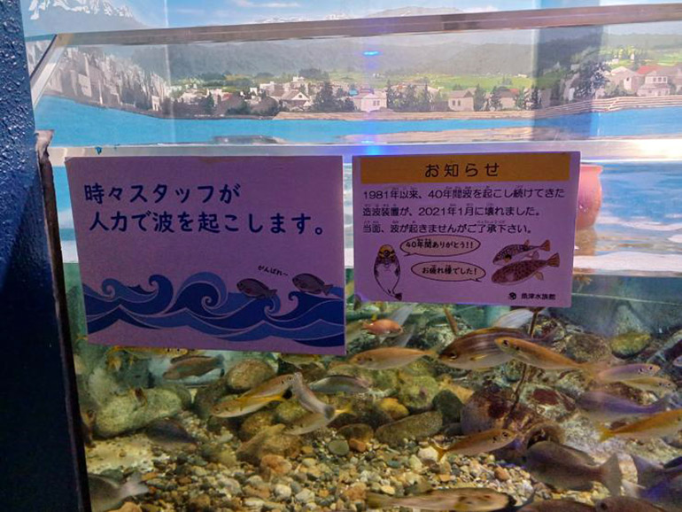 水槽
